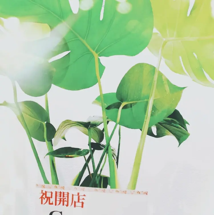 Guzel salonの内観・外観3