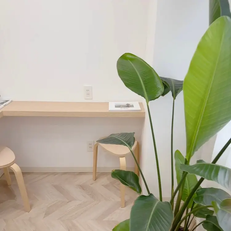 DEEP薬院店の内観・外観3