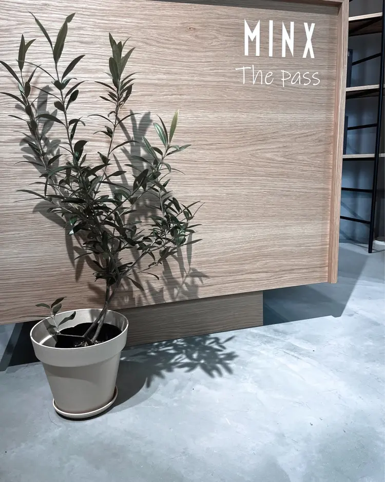 MINX The passの内観・外観1