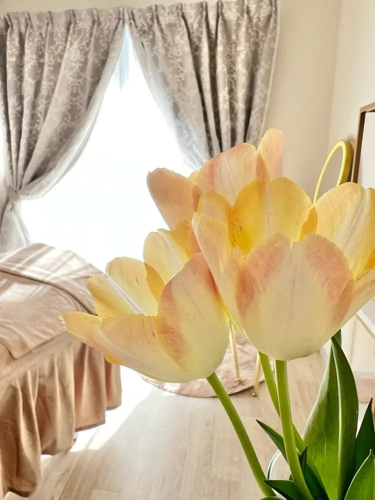 Beautysalon  graceの内観・外観1