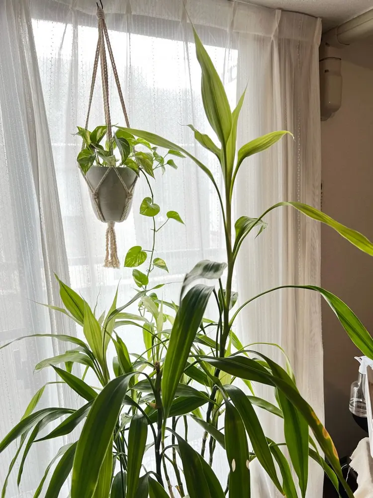 海umiatari辺の内観・外観1