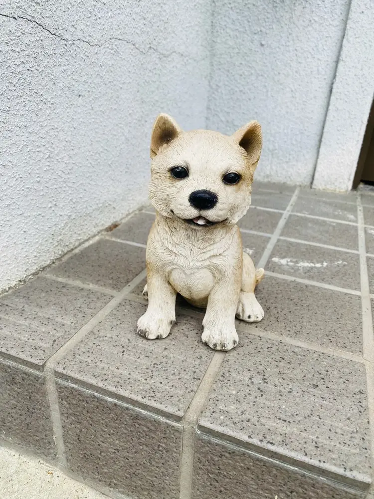 Chandraの内観・外観3