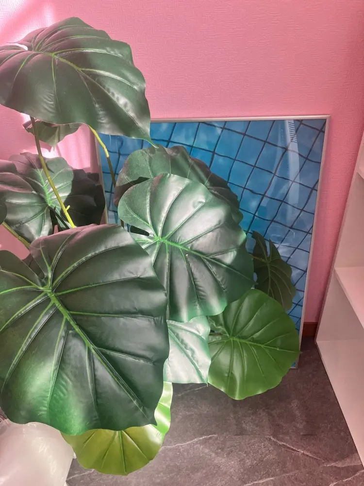 nailroom color sugarの内観・外観3