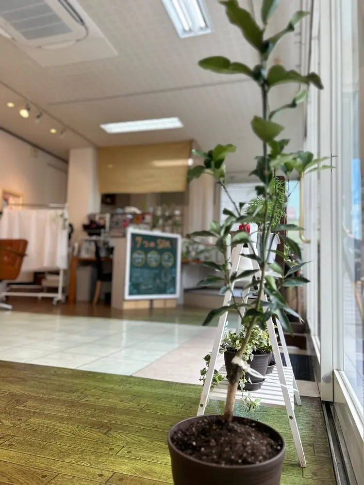 ナチュラルオーブン大村店の内観・外観3