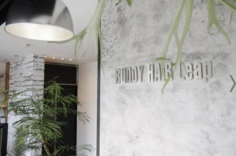BUDDY HAIR Leapの内観・外観2