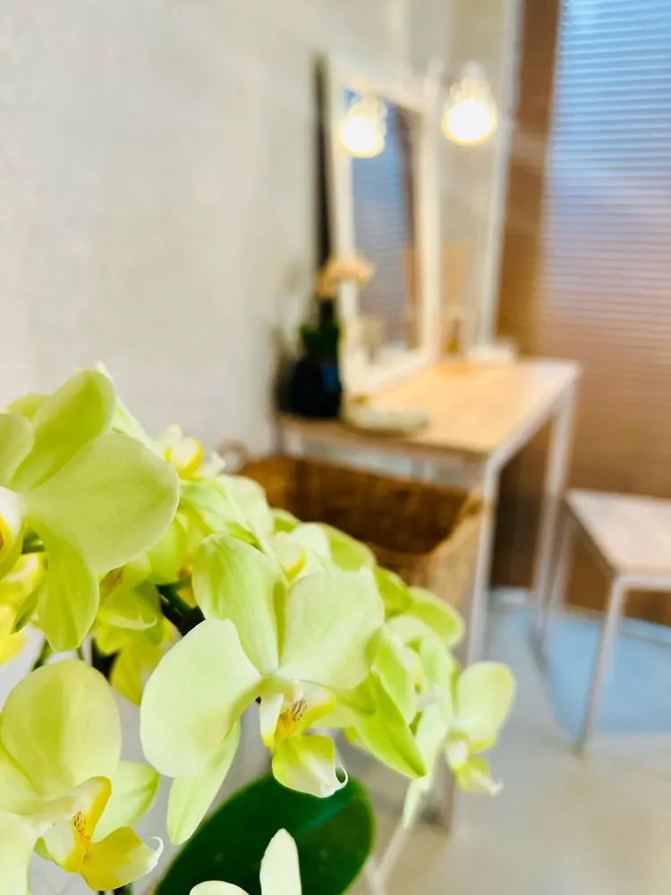 tsumugiの内観・外観1