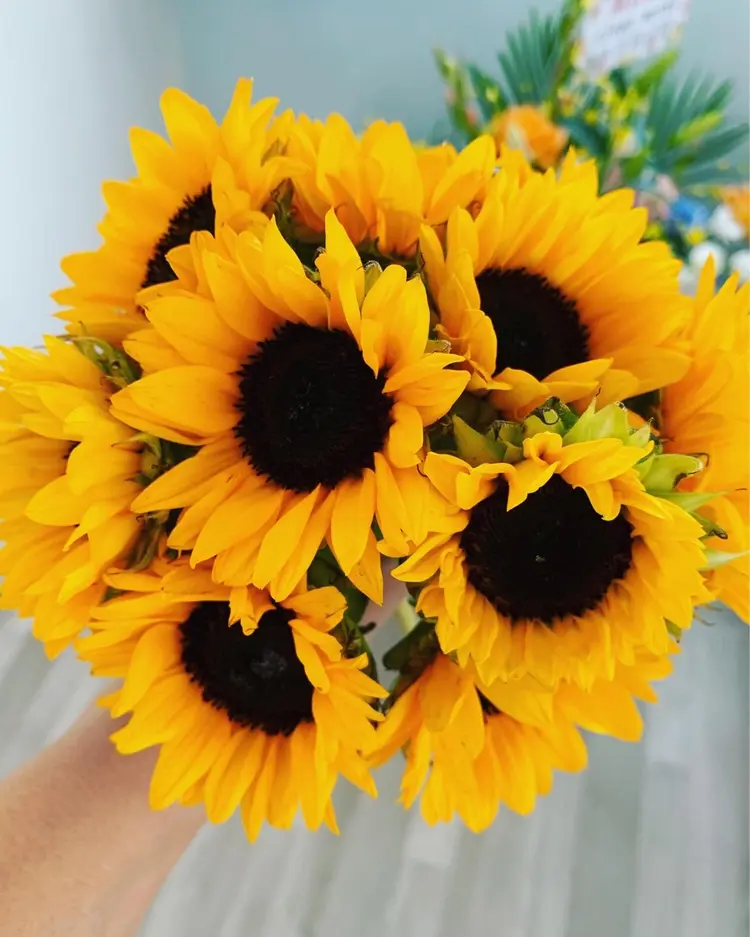 privatesalon hal hinailの内観・外観3