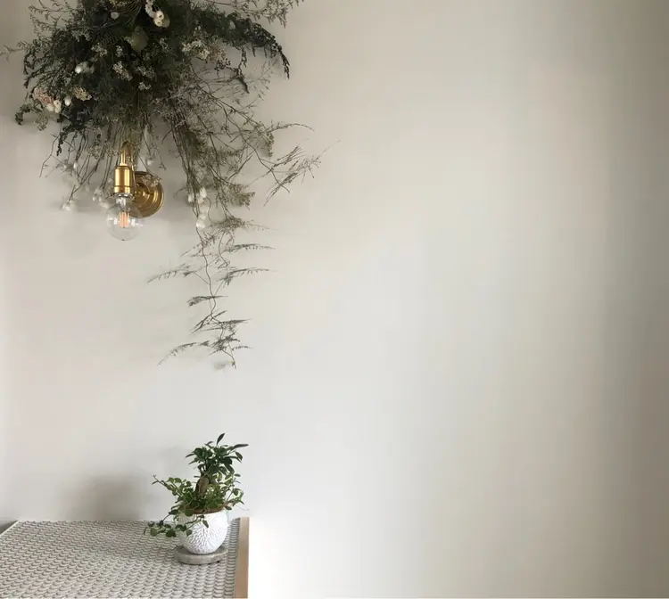 cote a coteの内観・外観3