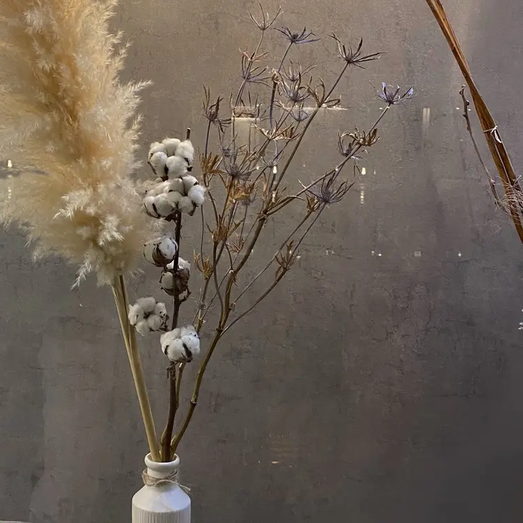 Nabiの内観・外観2