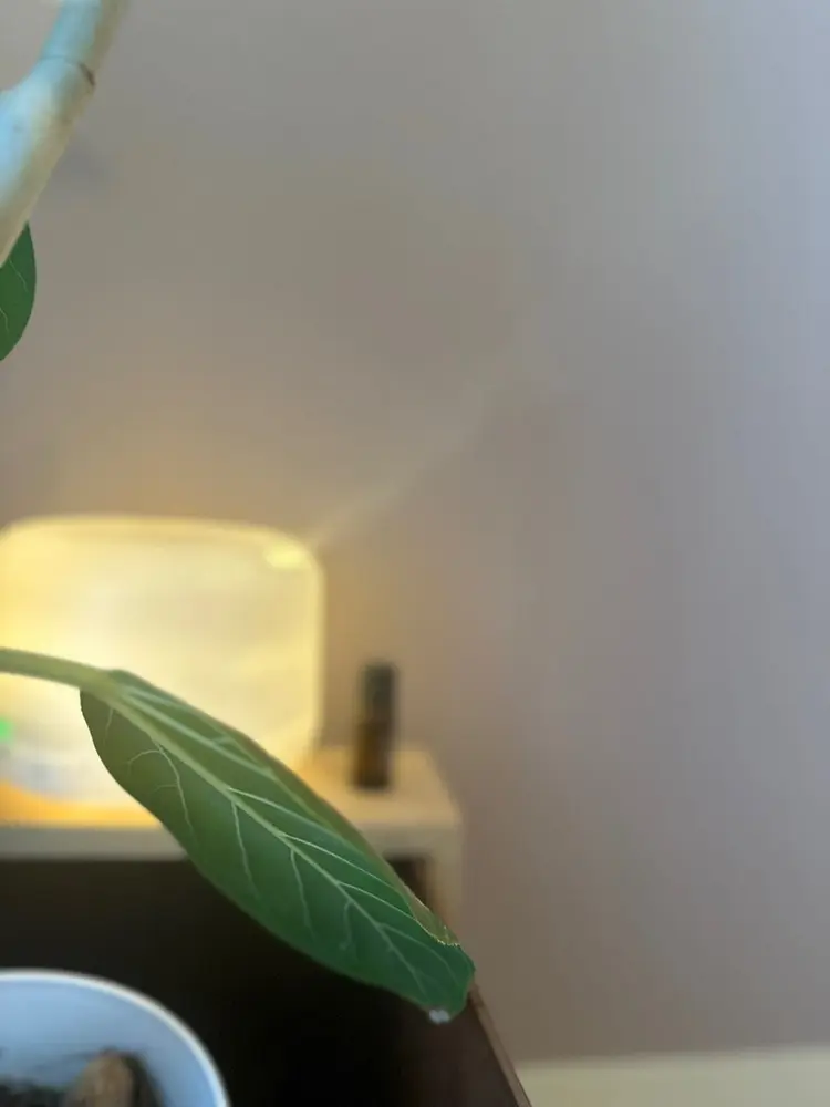 KITSの内観・外観2