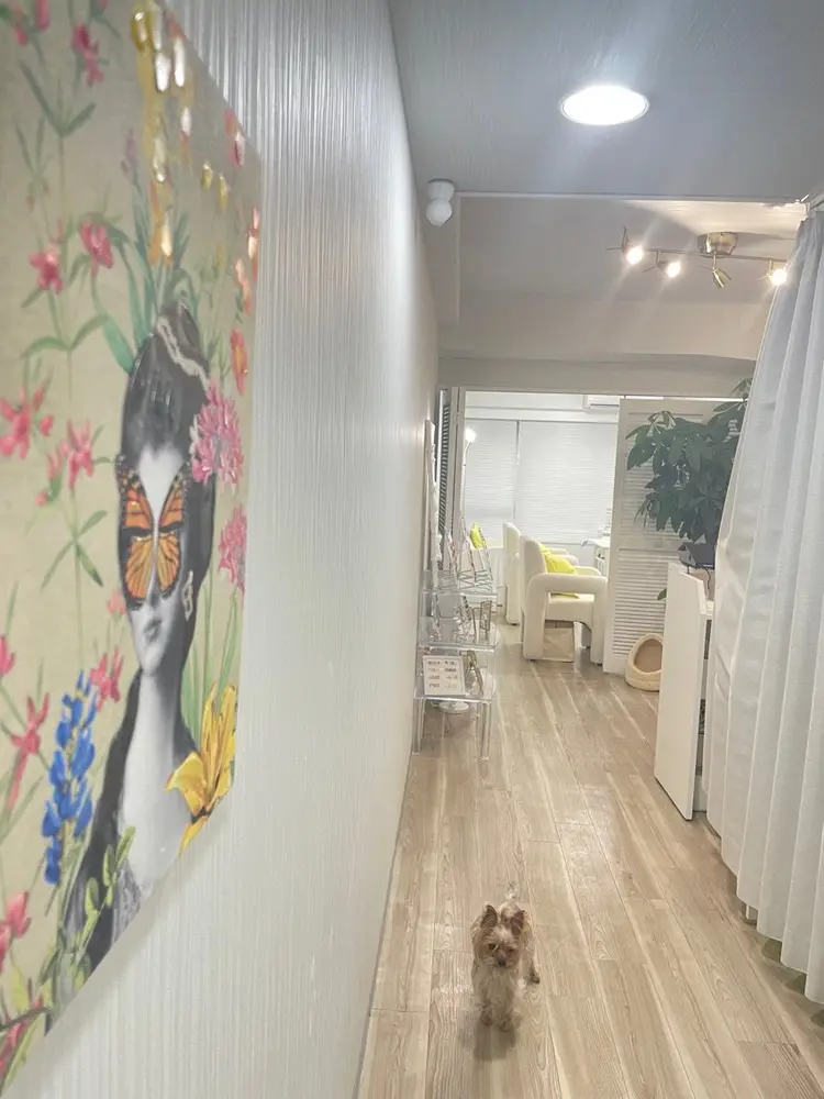 ネイル&アイ　Gardenの内観・外観1