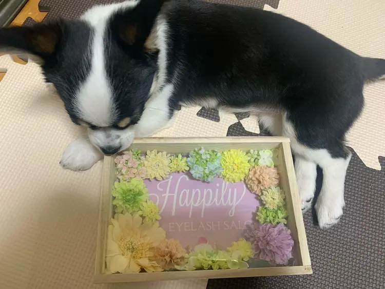 eyelash salonの内観・外観2