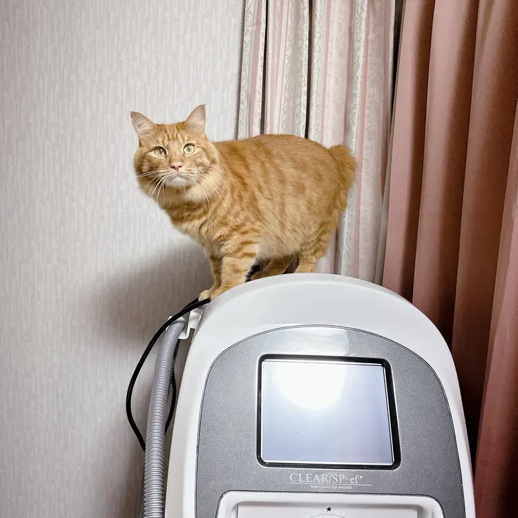 脱毛サロン ふありの内観・外観3