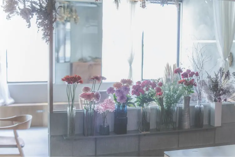 mallowの内観・外観1