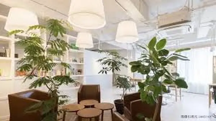 Linoa NAIL by IVY joureの内観・外観1