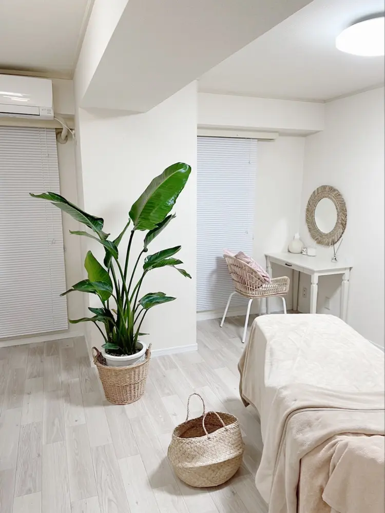 NOAの内観・外観1