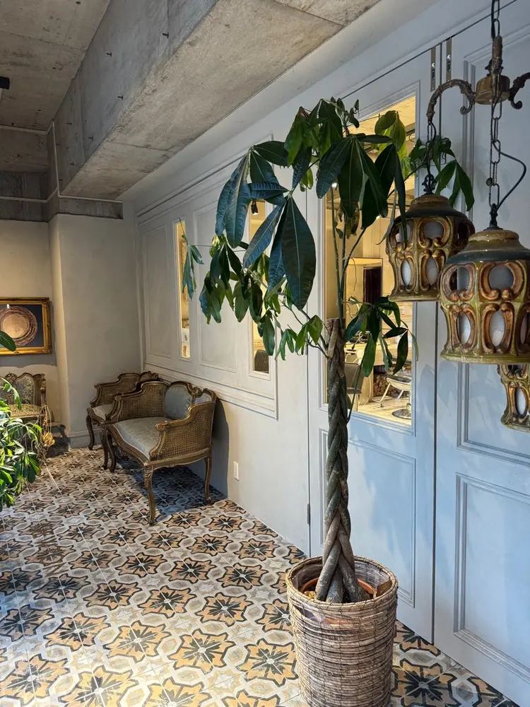 NEWTONの内観・外観1