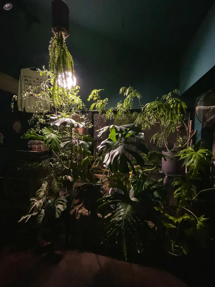 vivre libreの内観・外観2