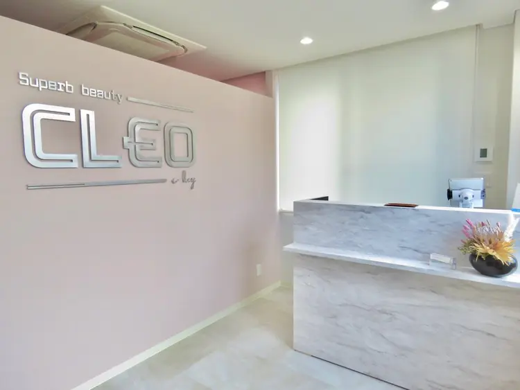 CLEOの内観・外観1