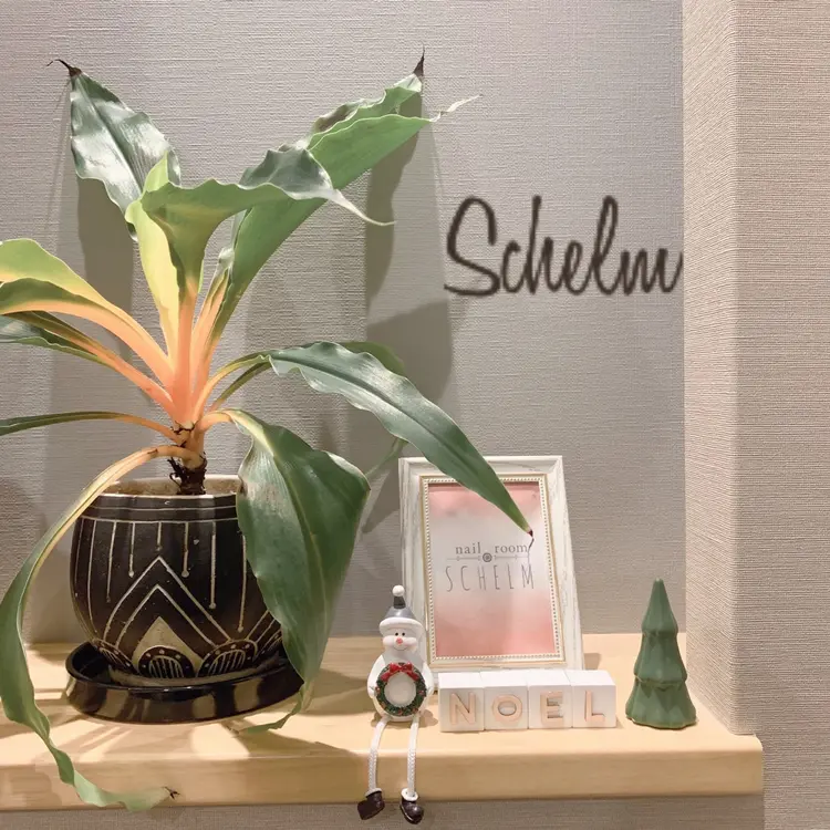 nail room schelmの内観・外観3