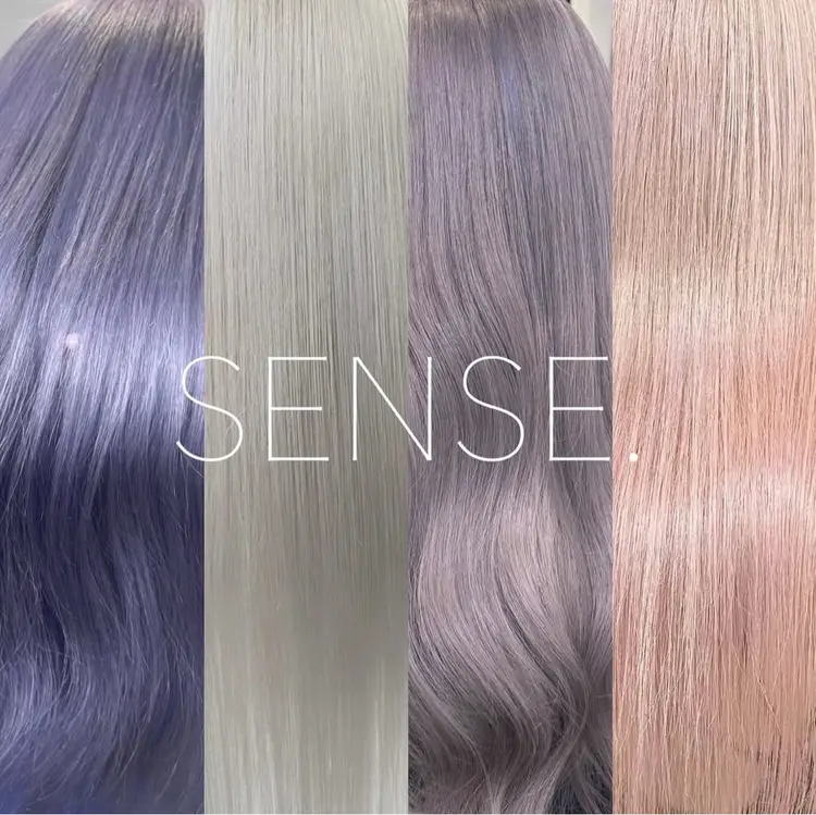 SENSE.の内観・外観3