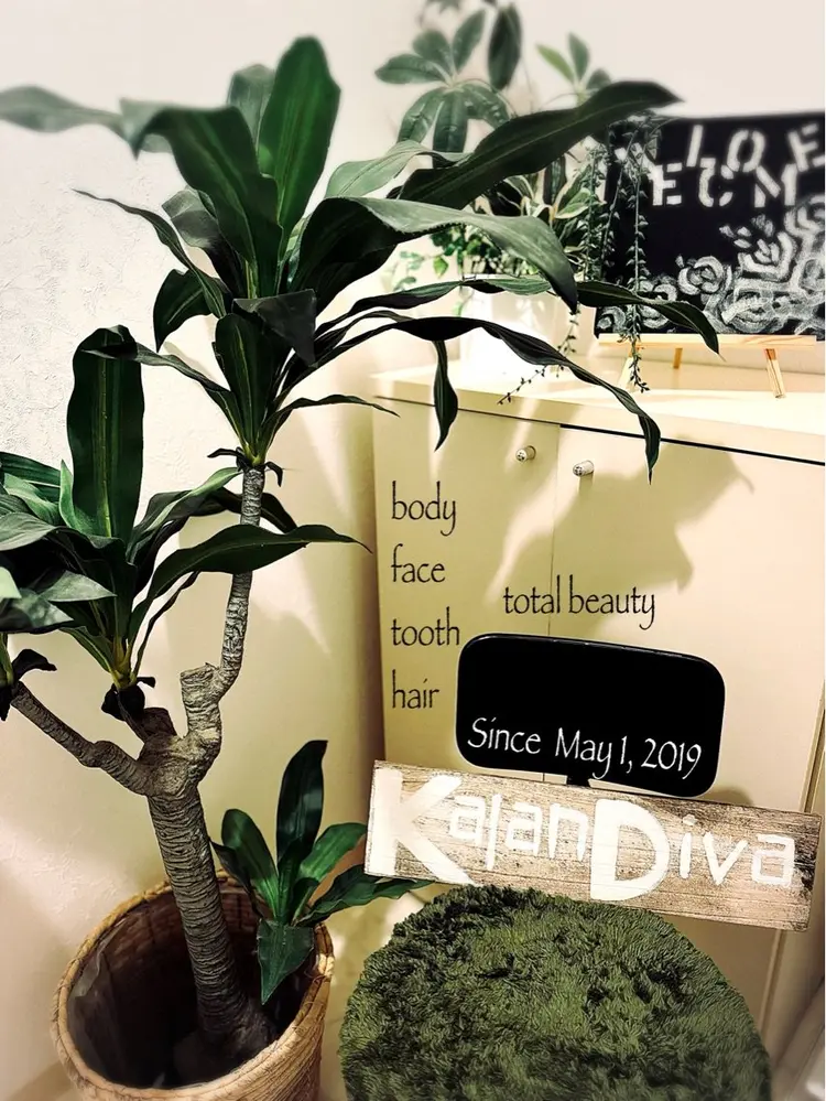 KalanDivaの内観・外観1