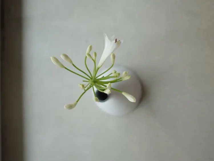 hakuの内観・外観3