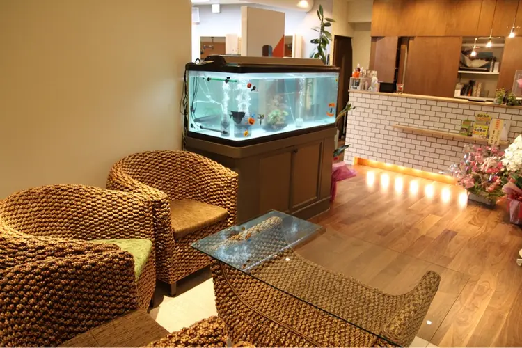 WASHAW Junoの内観・外観2