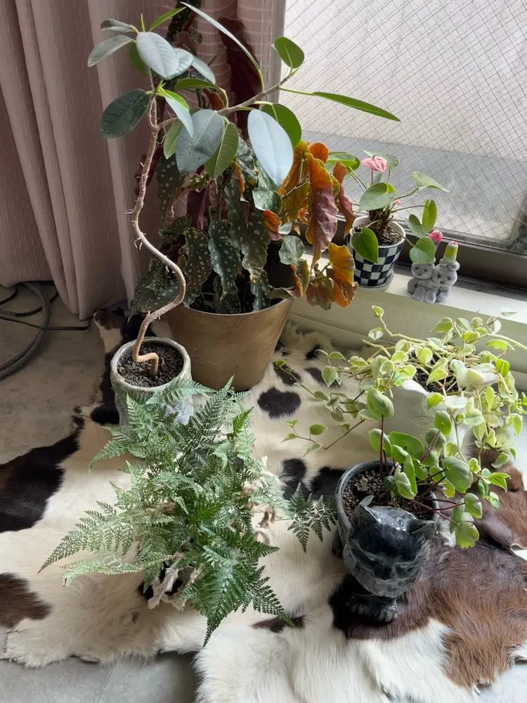 motelの内観・外観3