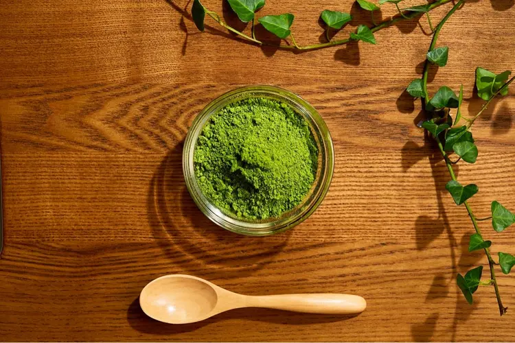 ソル・エ・テラの内観・外観2