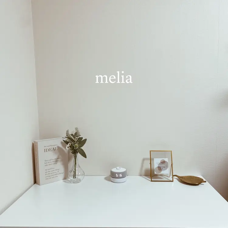 meliaの内観・外観1