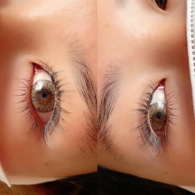 SUNNYの内観・外観3