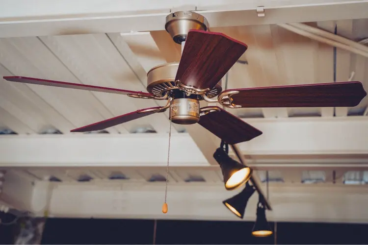 メンズ専門店　Mexico 宝塚【メキシコ】の内観・外観3