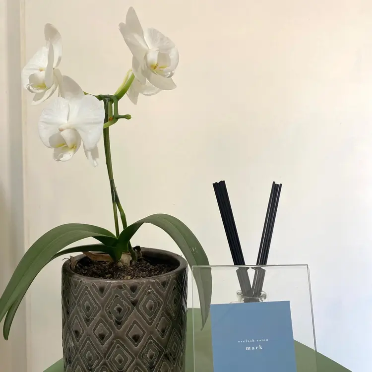 markの内観・外観3