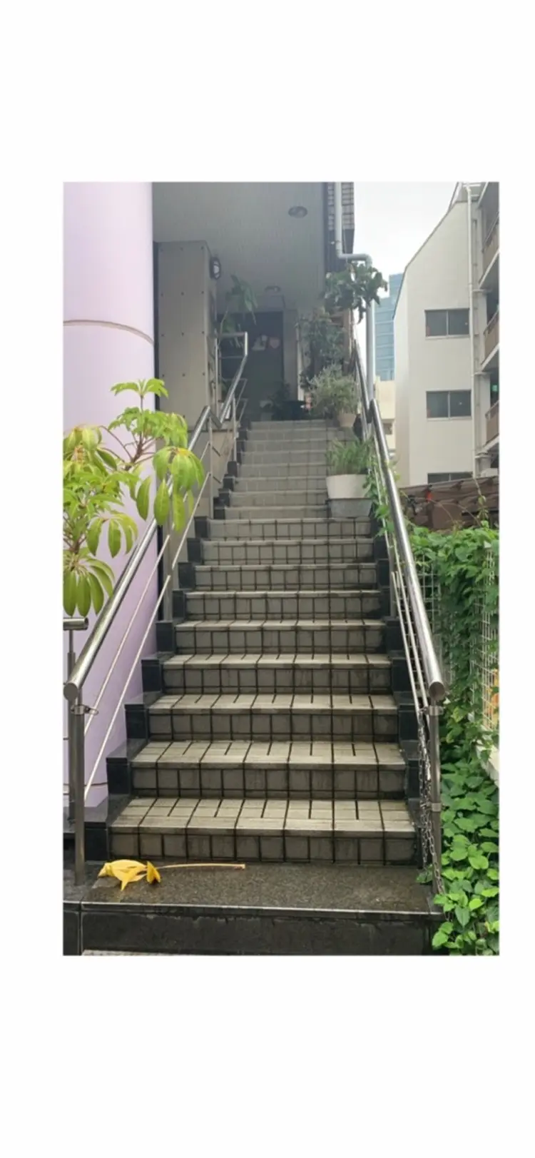 午後のサロンの内観・外観2