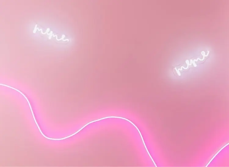 wixyの内観・外観2