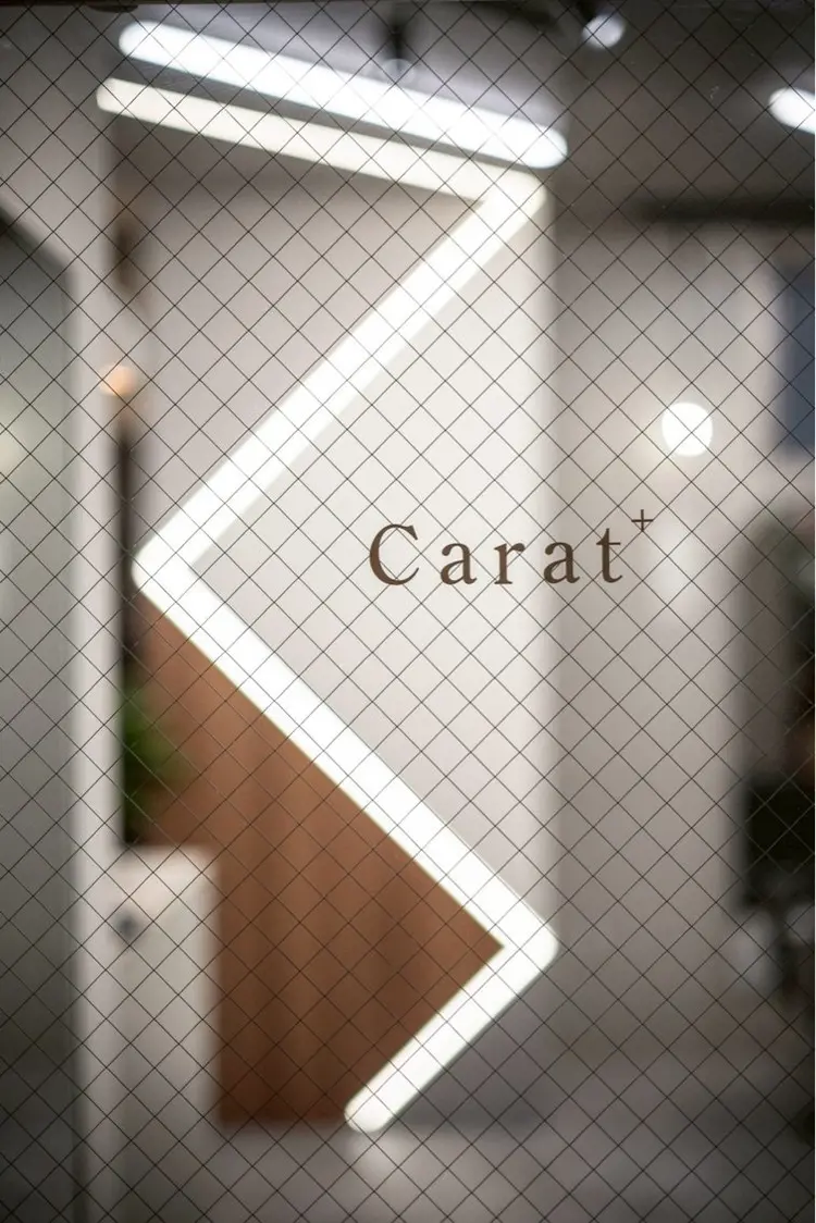 Carat+の内観・外観1