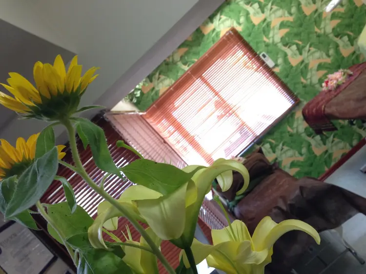 HIRAMORI E.T.Sの内観・外観2