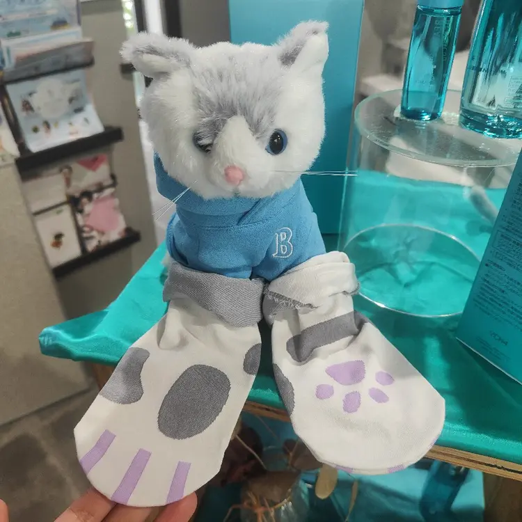 ラニプルメリアの内観・外観1