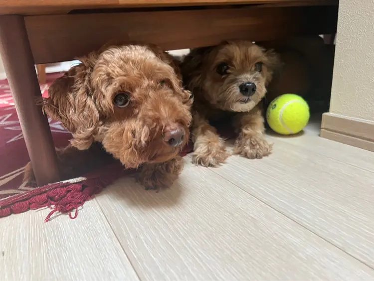 relax&nail  Rの内観・外観2