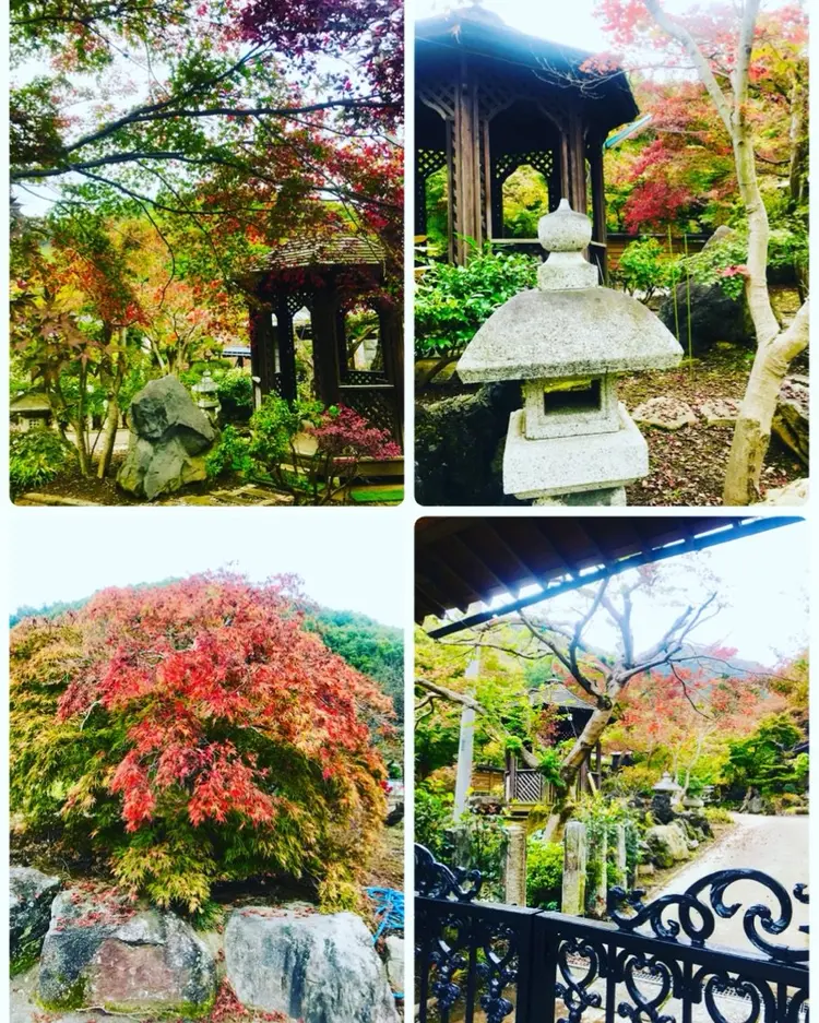 FORTUNE  GARdEN LUCIAの内観・外観1