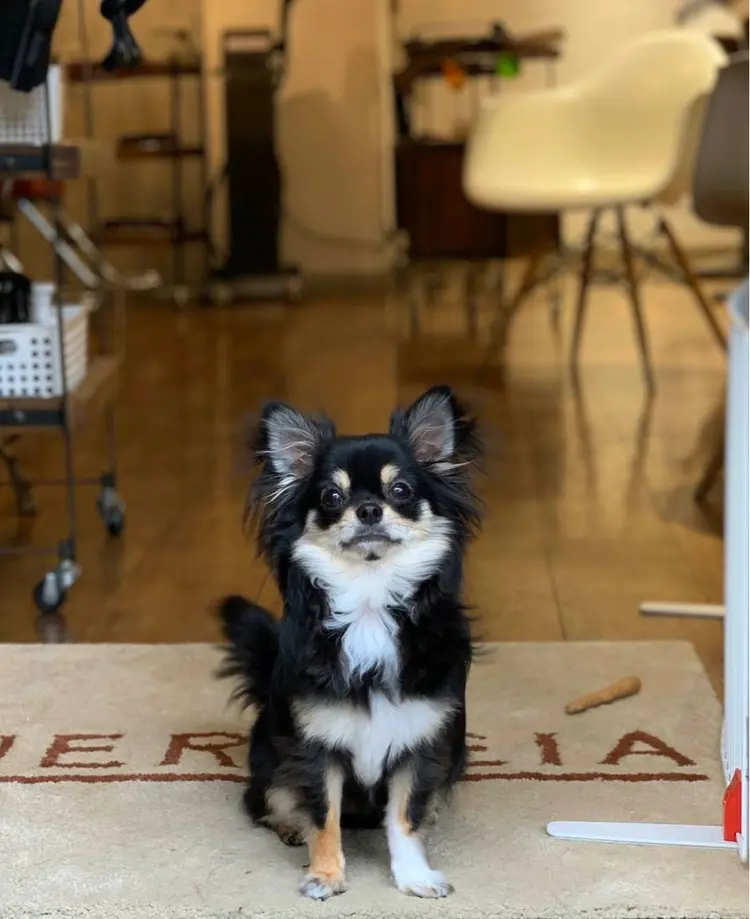 hair salon ENERGEIAの内観・外観2