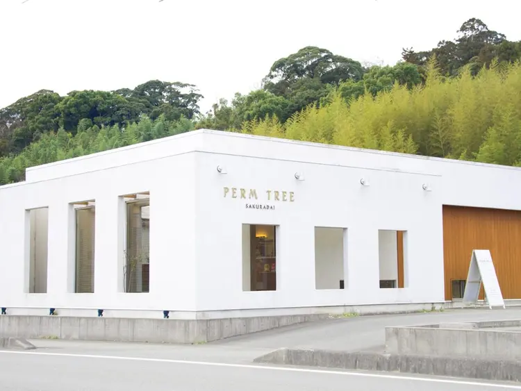 パームツリー桜台店の内観・外観1