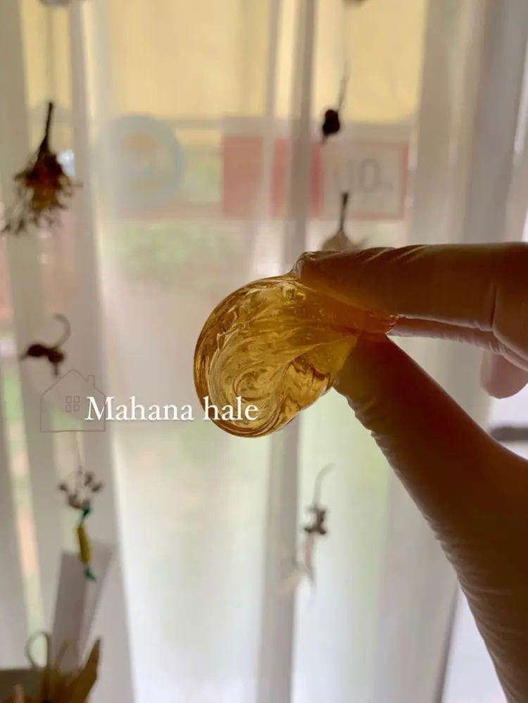 Mahana haleの内観・外観1