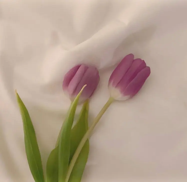 eyelash 表参道の内観・外観3