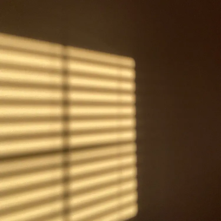 cosmic nailの内観・外観3