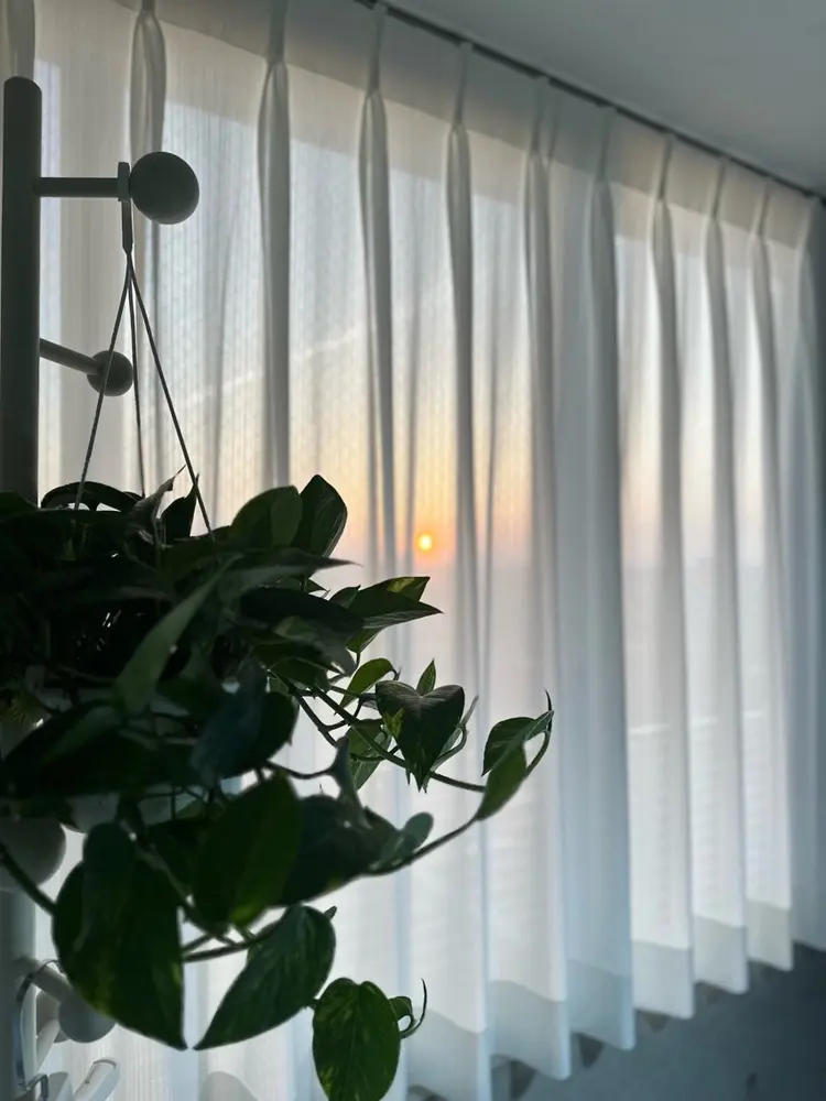 BLUE CORAの内観・外観2