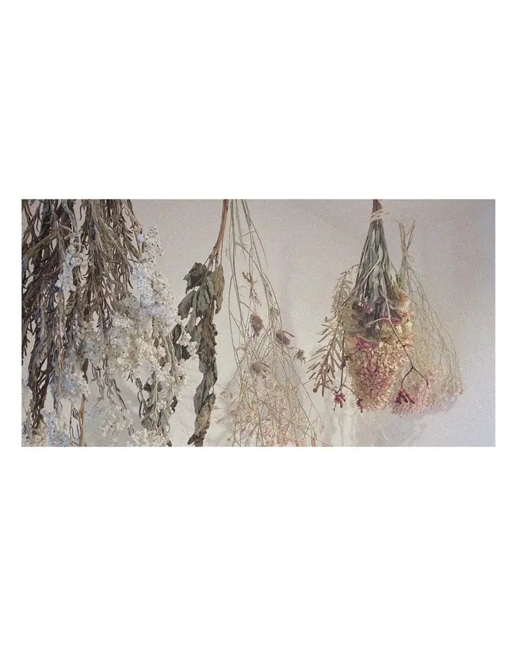 Maison de quatreの内観・外観3