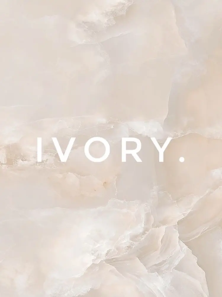 IVORY.の内観・外観1