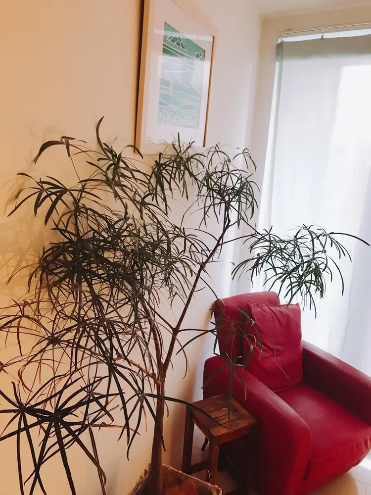 Salon de Apas (サロン・ド・アーパス)の内観・外観2